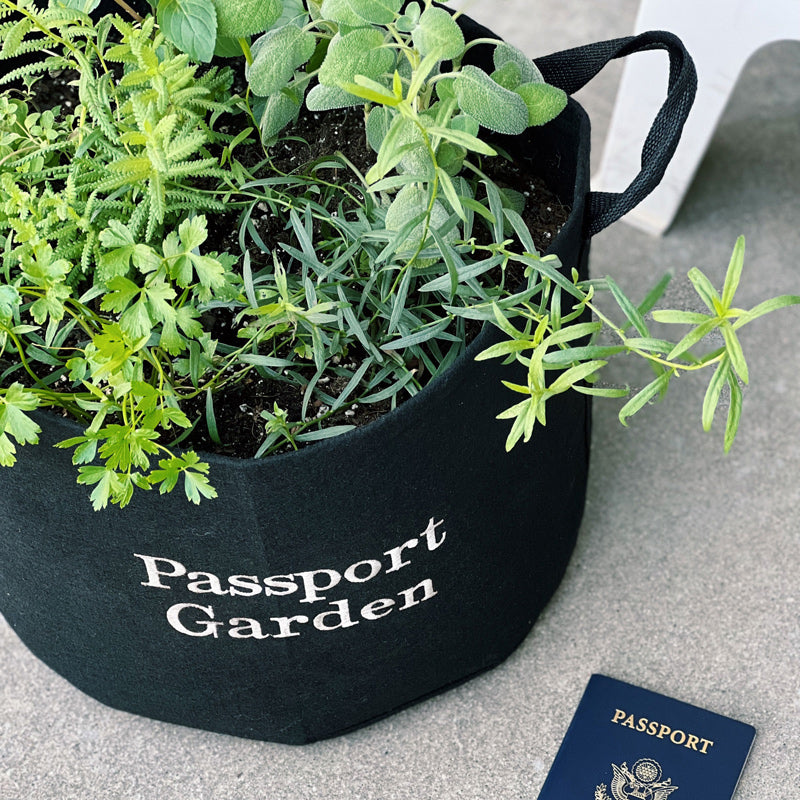 Passport Garden Kit with seasonal herbs