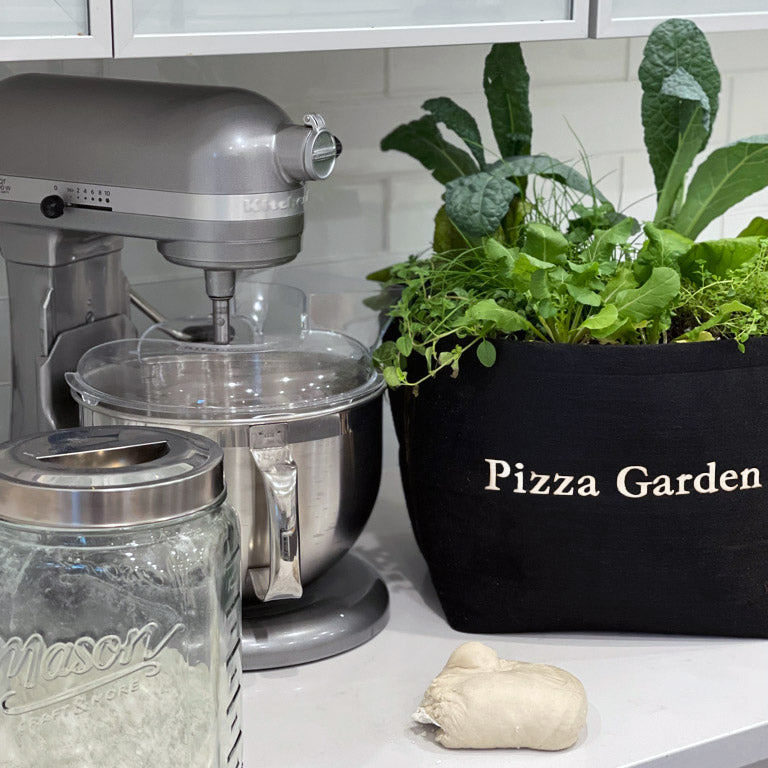 Pizza Garden Kit with leafy greens & herb plants