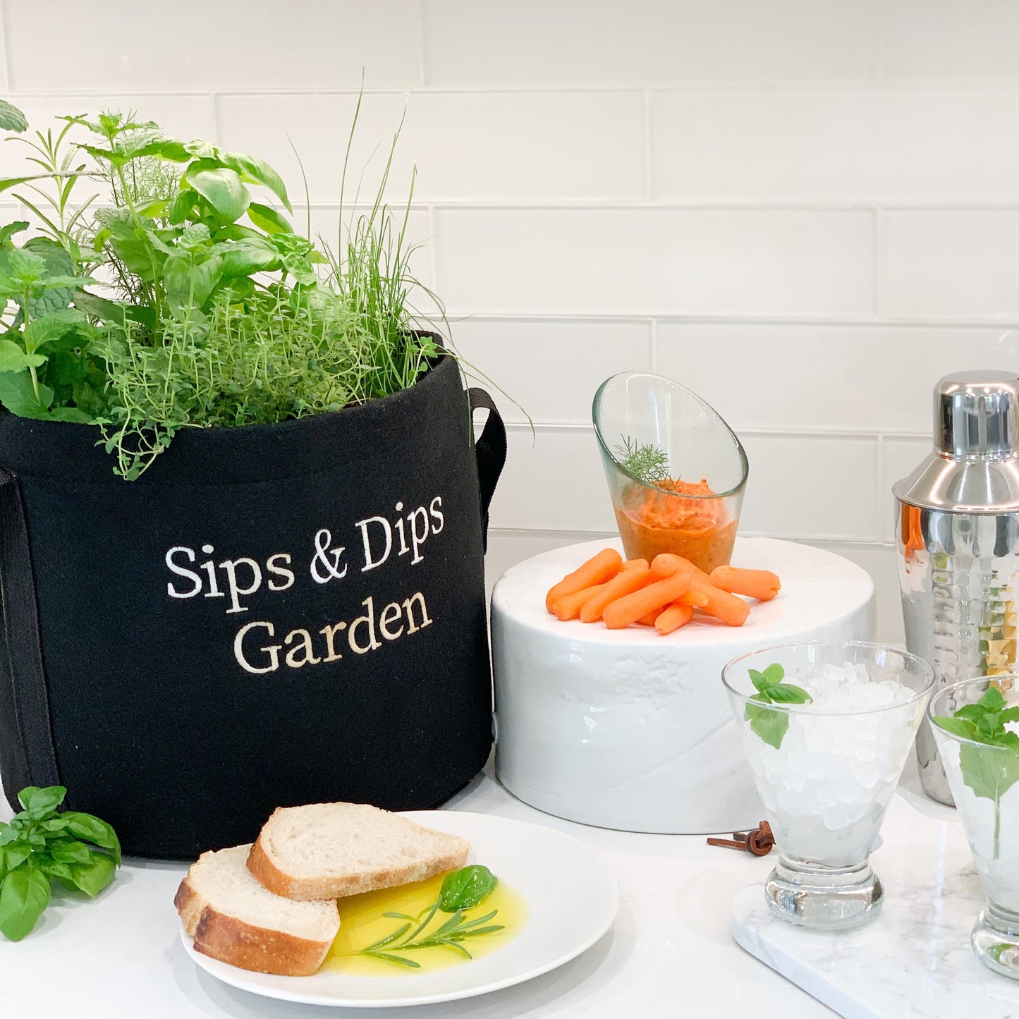 Sips & Dips Garden Kit with seasonal herb plants