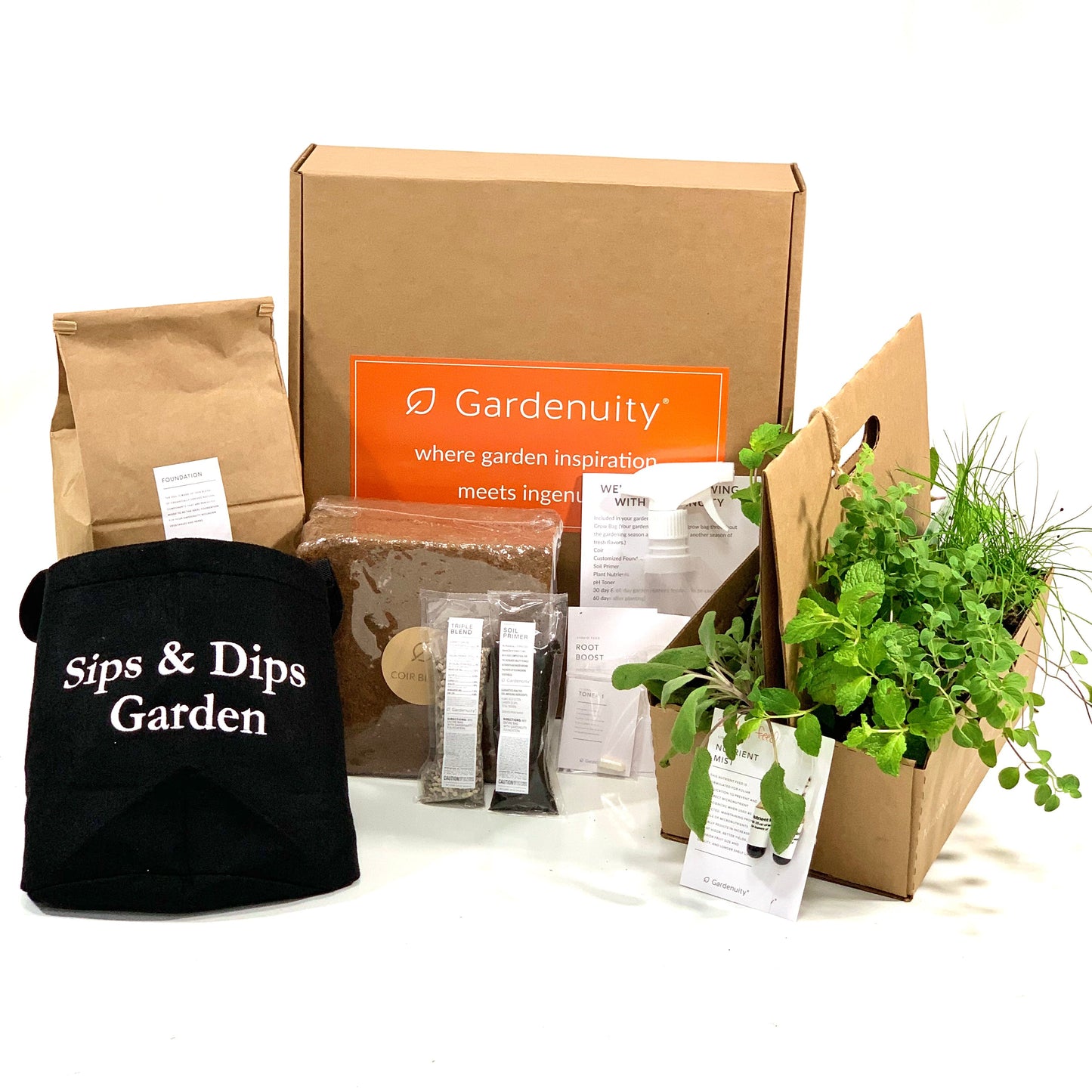 Sips & Dips Garden Kit‎ with seasonal herb plants